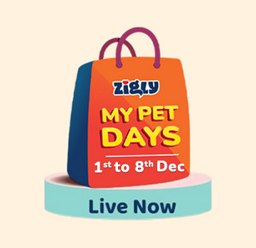 Shop All The Wishlisted Pet Products! Zigly My Pet Days Are Back!