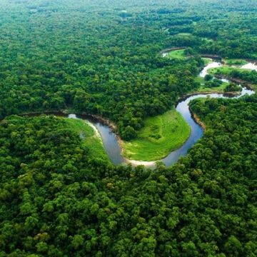 Grow Billion Trees: A Global Crusade Against Climate Change Led by Indian Army Veterans